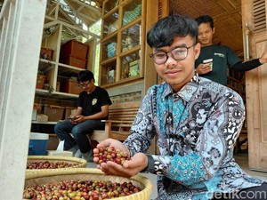 Cerita Adam, Gen Z Garut yang Sukses Cuan dari Bertani Kopi