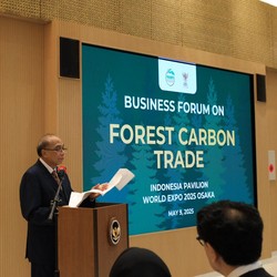 Indonesia Tawarkan Kredit Karbon Berbasis Hutan Tropis ke Jepang