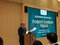 Indonesia Tawarkan Kredit Karbon Berbasis Hutan Tropis ke Jepang