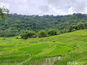 Hari Tani dan Persoalan Agraria Kita