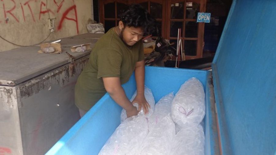 Ilustrasi Penjual Es Batu Keliling. (Detikcom)