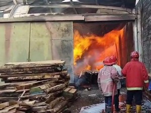 Pabrik Rotan dan Kayu di Cirebon Dilalap Si Jago Merah