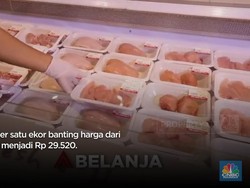 Serbu! Ayam Broiler di Transmart Potong Harga