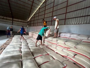 Serapan Gabah Tinggi, Bulog Indramayu Tak Lagi Impor Beras