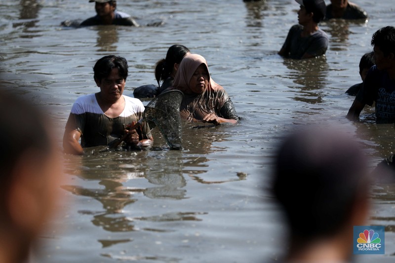 Tradisi ngubek empang di Situ Pengasinan Depok, Jawa Barat, Minggu (11/5/2025). (CNBC Indonesia/Tri Susilo) Tradisi ngubek empang di Situ Pengasinan Depok, Jawa Barat, Minggu (11/5/2025). (CNBC Indonesia/Tri Susilo)