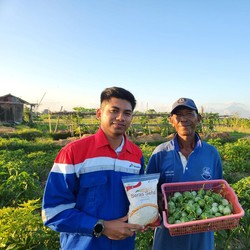 Top! Pertamina Dorong Kesejahteraan 408 Petani di Desa Uma Palak