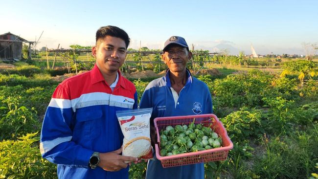 Top! Pertamina Dorong Kesejahteraan 408 Petani di Desa Uma Palak