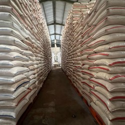 Harga Beras RI Naik Kala Stok Membludak, Ada Apa?