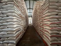 Harga Beras RI Naik Kala Stok Membludak, Ada Apa?