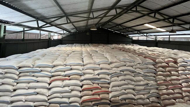 Stok Beras Membludak, RI Mau Ekspor 2.000 Ton per Bulan ke Malaysia