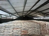 Stok Beras Membludak, RI Mau Ekspor 2.000 Ton per Bulan ke Malaysia