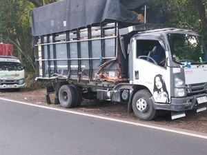 Tiga Kendaraan Kecelakaan Beruntun di Jalan Denpasar-Gilimanuk