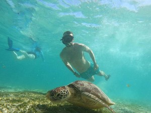 Penyu Hijau, Ikan, dan Patung Sepasang Kekasih di Gili Tramena