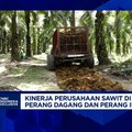 Video: Kiat Bos Sawit Genjot Produksi-Amankan Ekspor Era Perang Dagang