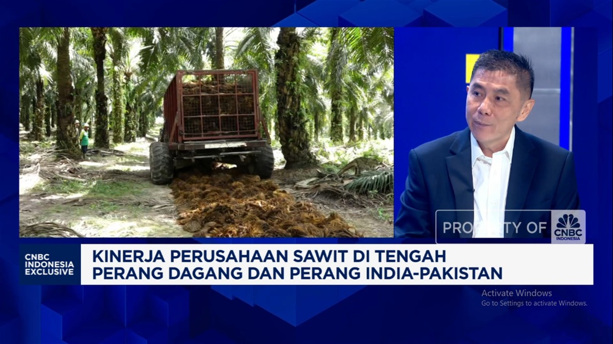 Video: Kiat Bos Sawit Genjot Produksi-Amankan Ekspor Era Perang Dagang
