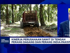 Video: Kiat Bos Sawit Genjot Produksi-Amankan Ekspor Era Perang Dagang