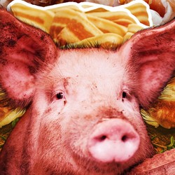 Produksi Daging Babi RI Terus Merosot, Diserang Virus dari Afrika