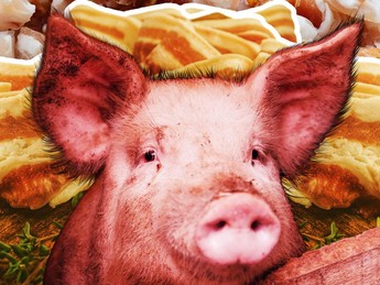 Produksi Daging Babi RI Terus Merosot, Diserang Virus dari Afrika