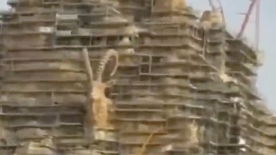 Sebuah patung kambing terbentuk dari bangunan di proyek Qiddya, Riyadh, Saudi Arabia. (Tangkapan Layar X/gamsiz_bykus)