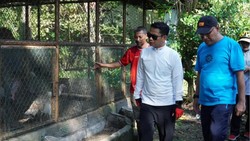 Nasib Miris Kebun Binatang Mini Banjarmasin, Koleksi Satwa Tak Sampai 10 Jenis
