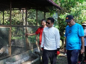 Nasib Miris Kebun Binatang Mini Banjarmasin, Koleksi Satwa Tak Sampai 10 Jenis