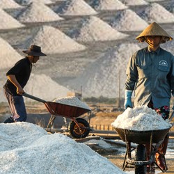 Ini 8 Garam Termahal di Dunia, Harganya Bikin Kaget