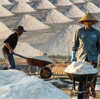Ini 8 Garam Termahal di Dunia, Harganya Bikin Kaget