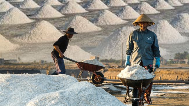 Efek Cuaca, Produksi Garam RI Mentok 1 Juta Ton di 2025
