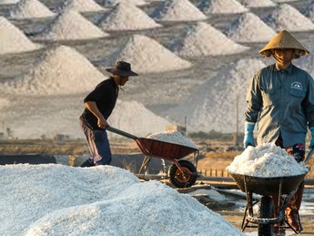 Ini 8 Garam Termahal di Dunia, Harganya Bikin Kaget