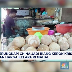 Video: China Jadi Biang Kerok Krisis dan Harga Kelapa RI Mahal