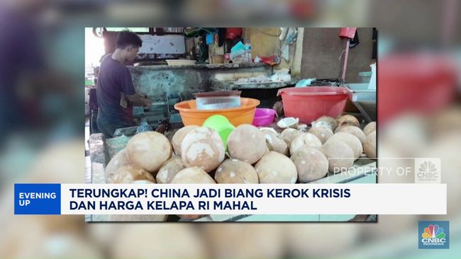 Video: China Jadi Biang Kerok Krisis dan Harga Kelapa RI Mahal