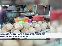 Video: China Jadi Biang Kerok Krisis dan Harga Kelapa RI Mahal