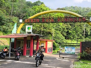 Menikmati Suasana Asri Kebun Raya Kuningan