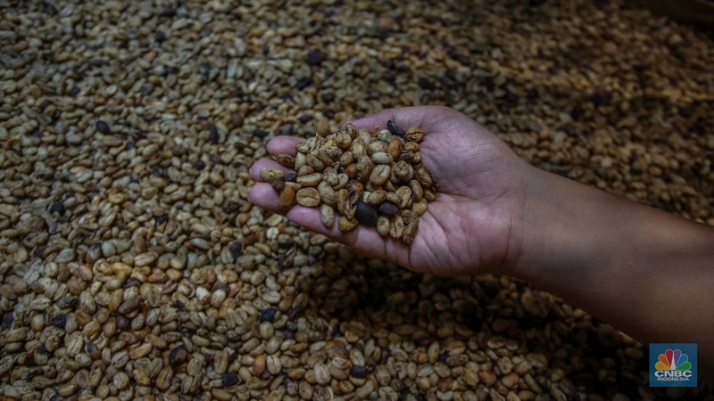 Pameran World of Coffee Jakarta 2025 di Jakarta International Convention Center (JICC), Jakarta, Kamis (15/5/2025). (CNBC Indonesia/Faisal Rahman)