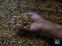 Tarif Trump Makan Korban Baru: Warga AS Susah Ngopi!