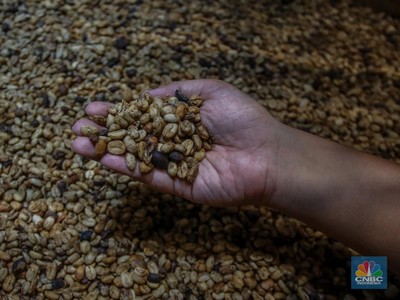 Gak Cuma Luwak, Ini Deretan Kopi dari Kotoran Hewan