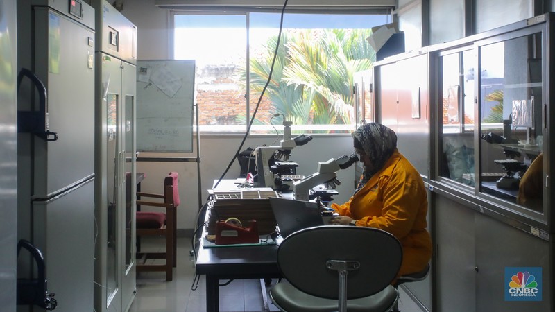 Petugas beraktivitas pada salah satu ruangan Laboratorium di kantor BPOM, Jakarta, Kamis (15/5/2025). Petugas beraktivitas pada salah satu ruangan Laboratorium di kantor BPOM, Jakarta, Kamis (15/5/2025). (CNBC Indonesia/Faisal Rahman)