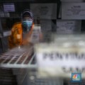 Penampakan Vaksin TBC Bill Gates, Uji Klinis di Indonesia