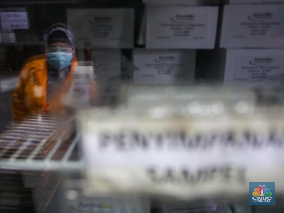 BPOM Setujui Uji Klinis Vaksin TBC, Harapan Baru Tekan Kematian