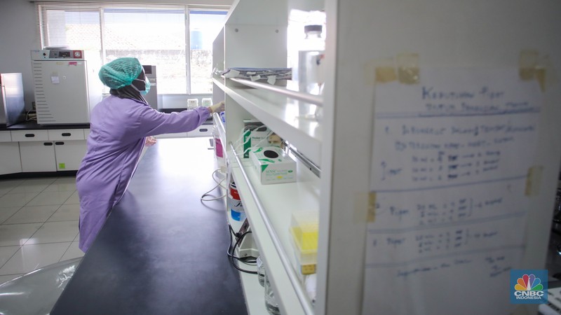 Petugas beraktivitas pada salah satu ruangan Laboratorium di kantor BPOM, Jakarta, Kamis (15/5/2025). Petugas beraktivitas pada salah satu ruangan Laboratorium di kantor BPOM, Jakarta, Kamis (15/5/2025). (CNBC Indonesia/Faisal Rahman)