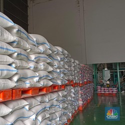 Wamentan Ramal RI Lagi Surplus Beras Gila-gilaan, Tanda-tandanya Ini