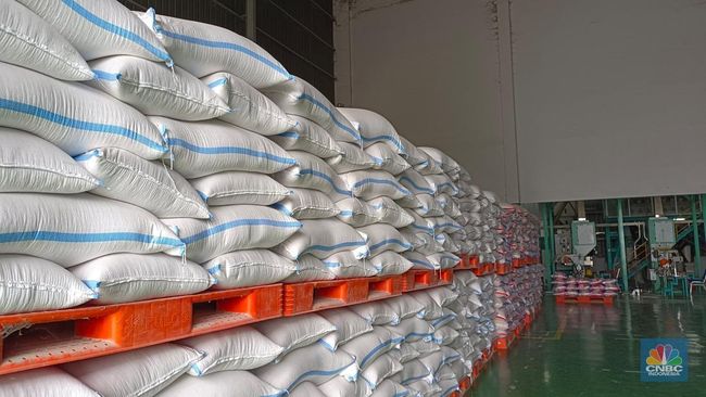 Wamentan Ramal RI Lagi Surplus Beras Gila-gilaan, Tanda-tandanya Ini