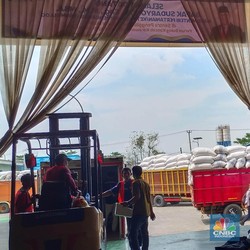 Kenaikan Harga Beras Menular, Penggilingan Padi Minta HPP Gabah Naik