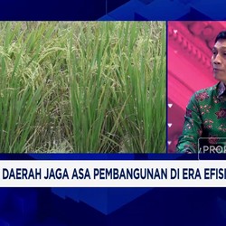 Video: Batanghari Tancap Gas Wujudkan Lumbung Pangan Provinsi Jambi