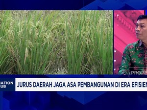 Video: Batanghari Tancap Gas Wujudkan Lumbung Pangan Provinsi Jambi