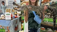 Waspada! Mata Bisa Tertipu Foto Ini, Lihat Dua Kali 
