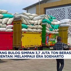 Video: BULOG Simpan 3,7 Juta Ton Beras, Melampaui Era Soeharto