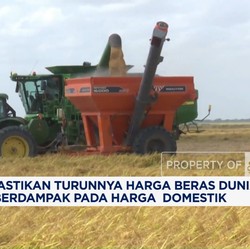 Video:Harga Beras Dunia Jatuh, Wamentan: Efek Indonesia Tak Impor Lagi