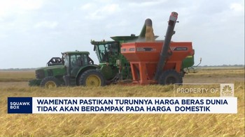 Video:Harga Beras Dunia Jatuh, Wamentan: Efek Indonesia Tak Impor Lagi