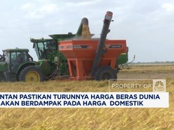 Video:Harga Beras Dunia Jatuh, Wamentan: Efek Indonesia Tak Impor Lagi